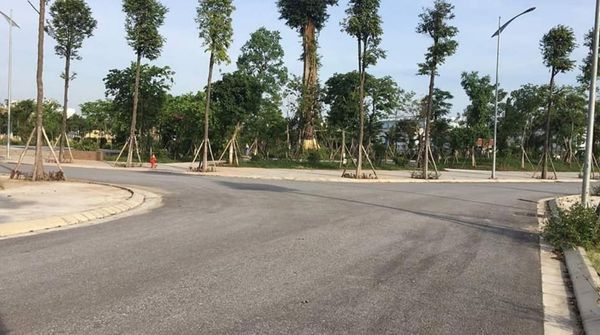 Cây xanh đã được trồng bao quanh dự án Hòa Phát Phố Nối