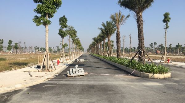 Tiến độ thi công Hòa Phát Forestar được đẩy mạnh, bám sát kế hoạch